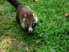 Flora and Fauna